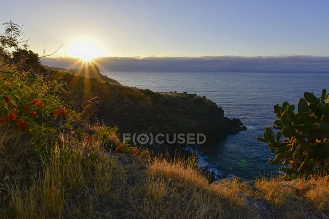Portugal, Madeira, Coast at sunset — Stock Photo