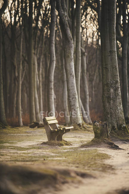 Германия, Ницца, пустая скамейка запасных — стоковое фото