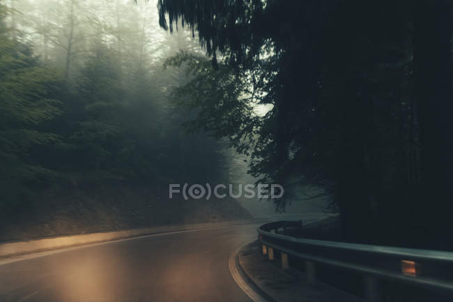 Порожня сільська дорога в тумані — стокове фото