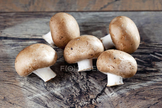 Champignons Crimini frais — Photo de stock