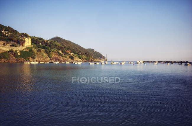 Italia, Liguria, Sestri Levante, costa con veleros al atardecer - foto de stock