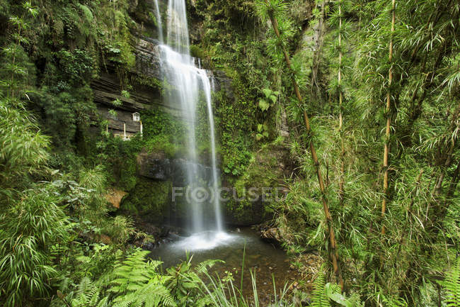 Cascata di chiflon nella giungla — Foto stock