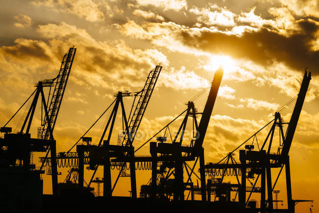 Germania, Amburgo, gru a container al tramonto — Foto stock