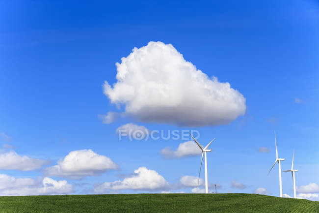USA, Idaho, Palouse, Ruote del vento sul prato — Foto stock