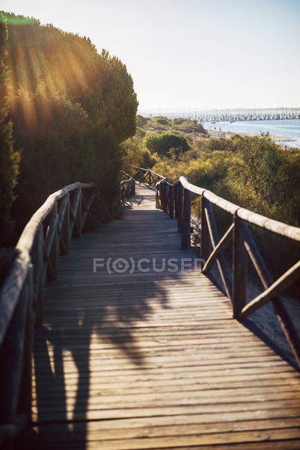 Іспанія, Андалусия, Уельва, boardwalk через природний парк в підсвічування — стокове фото