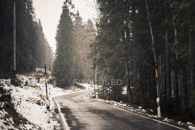Alemania, Baviera, Ramsau, carretera de campo en invierno - foto de stock