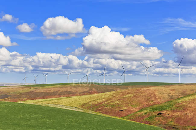 USA, idaho, palouse, Windräder auf Getreidefeldern — Stockfoto