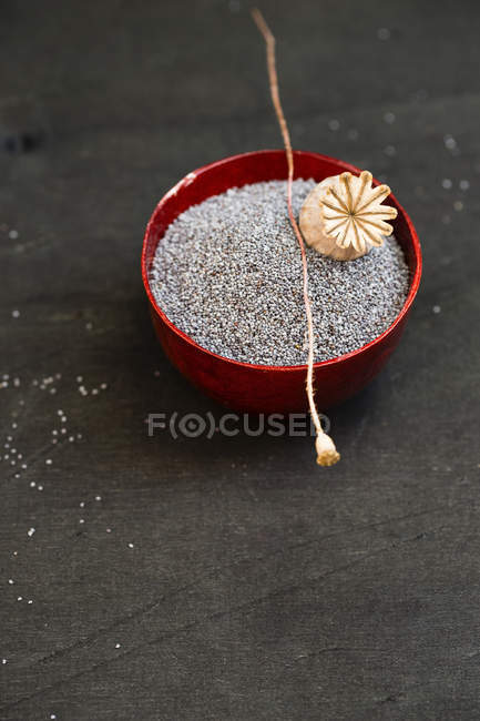 Cuenco de semillas de amapola y cápsula de semillas de amapola - foto de stock