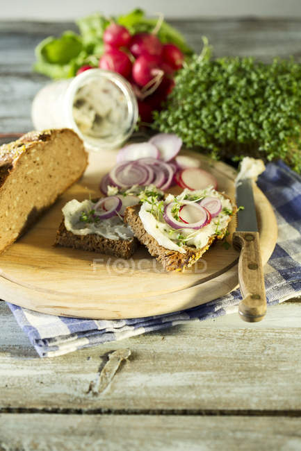 Lard bread garnished with, red radish, onion rings and cress — Stock Photo