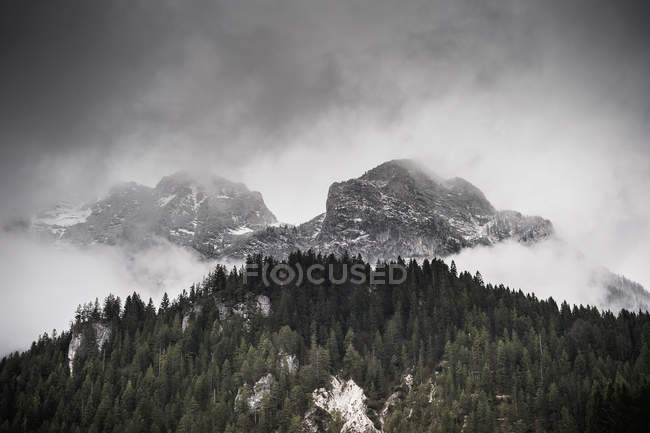 Bosque y montañas en las nubes, Ramsau, Baviera, Alemania - foto de stock