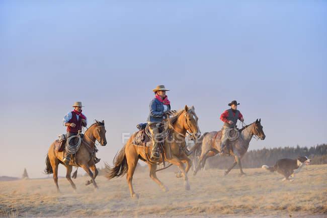 Estados Unidos, Wyoming, tres vaqueros y vaquera con perro — montar a sombreros - Stock Photo | #180219902