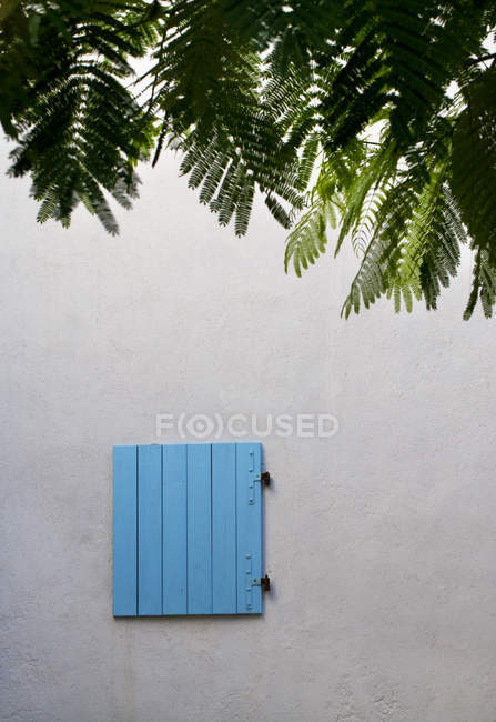 Fechado janela azul obturador e árvore em primeiro plano — Fotografia de Stock
