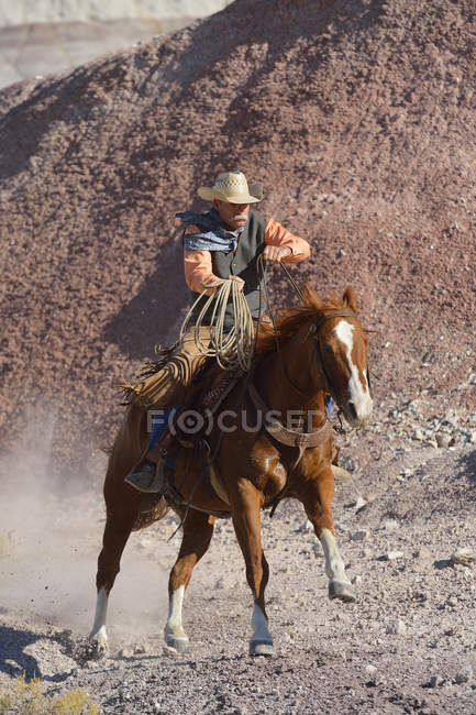 USA, Wyoming, Big Horn Mountains, cowboy che cavalca con il lazo in mano — Foto stock