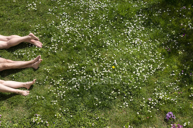 Pernas de três pessoas deitadas no prado da primavera — Fotografia de Stock