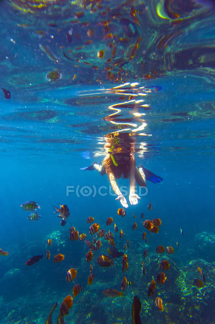 Indonesien, bali, junge Frau schnorchelt mit Fisch — Stockfoto