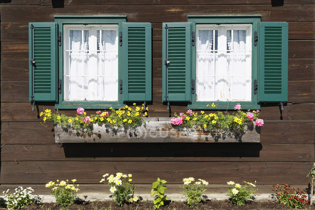 Austria, Burgenland, Deutsch Schuetzen, facciata in legno con due finestre e una scatola di fiori — Foto stock