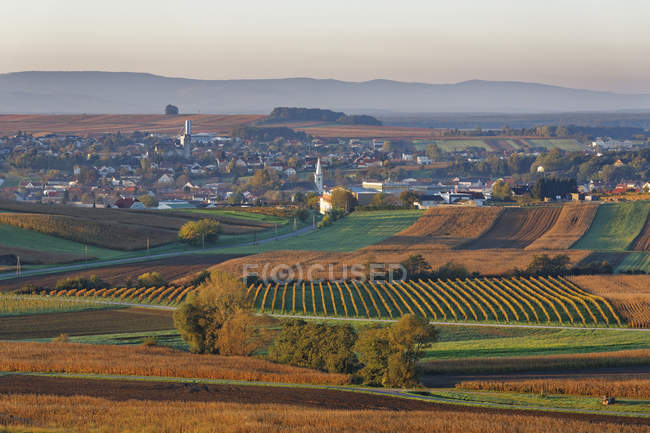Austria, Burgenland, Oberpullendorf District, Neckenmarkt, in autumn — Stock Photo