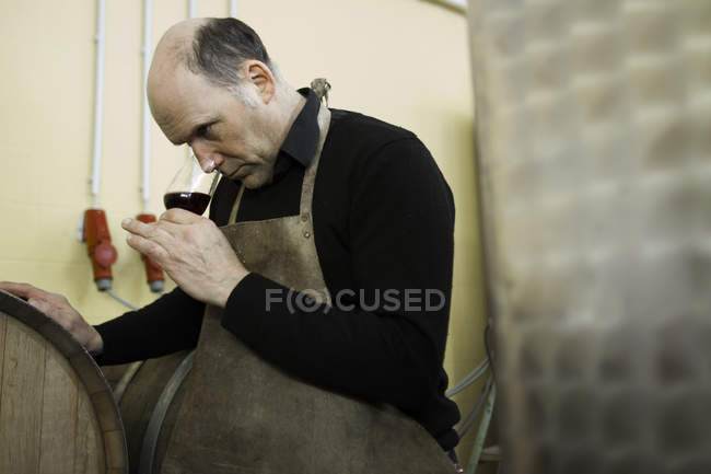 Winegrower examining red wine — Stock Photo