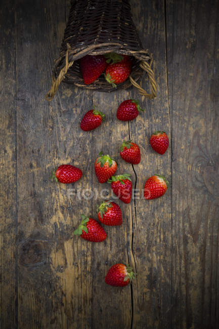 Upturned basket of fresh strawberries — Stock Photo