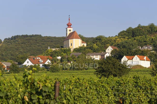 Австрія, Бургенланд, Donnerskirchen, виноградник і Церква Святого Мартіна подання на тлі — стокове фото