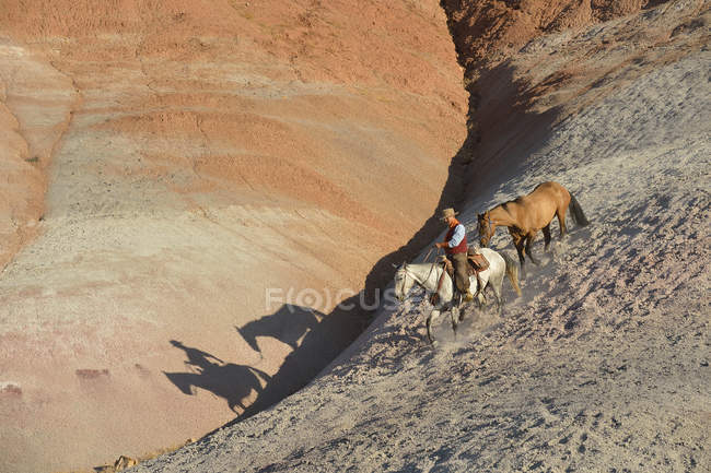 Cabalgando vaquero con dos caballos en tierras baldías - foto de stock