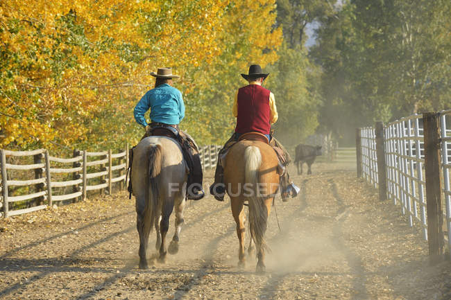 USA, Wyoming, cowboy and cowgirl riding horses — Stock Photo
