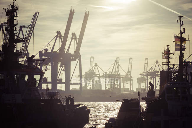 Germania, Amburgo, Porto di Amburgo, Gru e rimorchiatori al tramonto — Foto stock