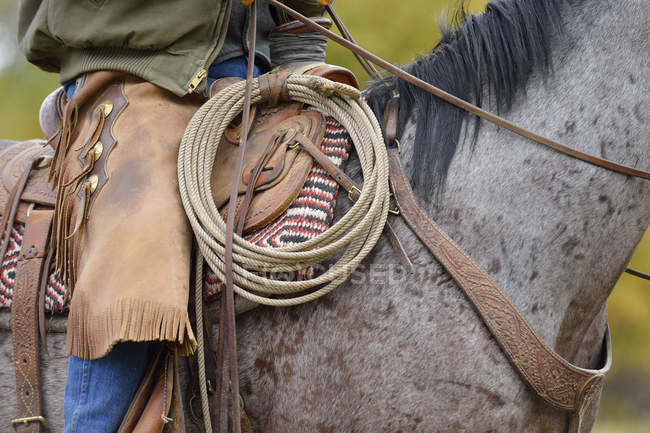États-Unis, Wyoming, Cowboy, gros plan de lasso et vêtements de protection — Photo de stock