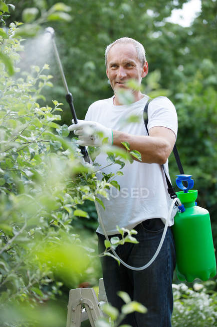 L'homme pulvérisation de produits phytopharmaceutiques dans le jardin — Photo de stock