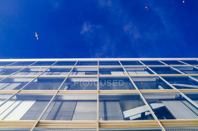 Vista inferior do detalhe do edifício de escritórios, Hamburgo, Alemanha — Fotografia de Stock