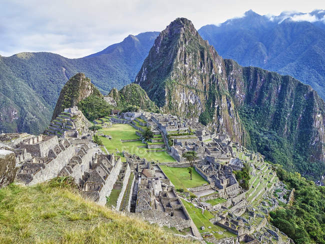 Ancient Andean Genomes Show Distinct Adaptations to Farming and ...