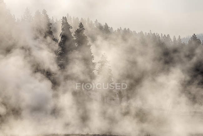 Vista do vapor de nascentes de fontes termais, Firehole Lake Drive, Yellowstone National Park, Wyoming, EUA — Fotografia de Stock