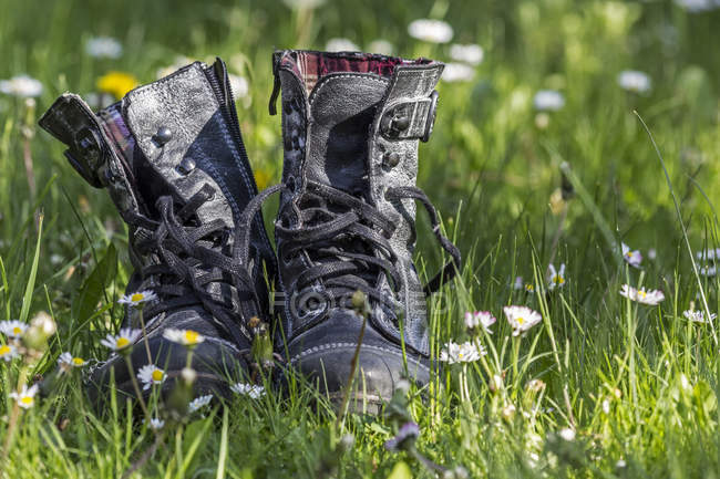 Par de botas em pé em um prado — Fotografia de Stock
