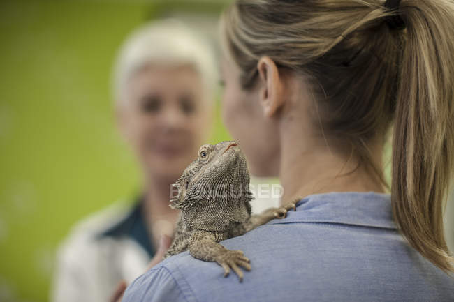 Bartdrache auf der Schulter einer reifen Frau beim Tierarzt — Stockfoto