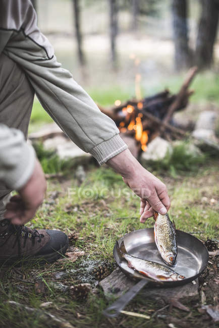 Man's hand putting rudd into a pan for frying at camp fire — Stock Photo