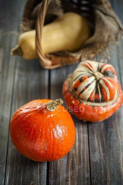 Turban pumpkin and Butternut squash on dark wooden surface — Stock Photo