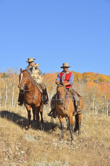 Cowboy e cowgirl sui cavalli — Foto stock