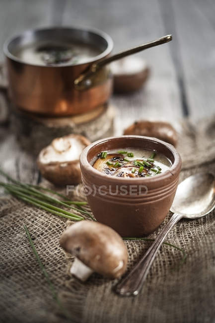 Cooking pot and bowl of mushroom cream soup with chive and fried mushrooms — Stock Photo