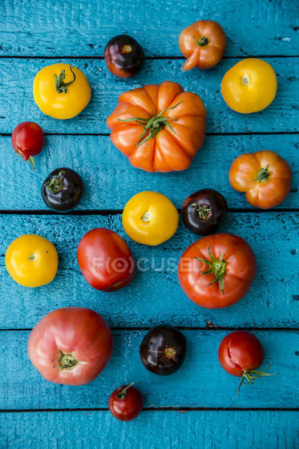 Tomates fraîches et différentes — Photo de stock