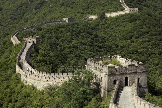 Cina, Grande Muraglia circondata da alberi durante il giorno — Foto stock