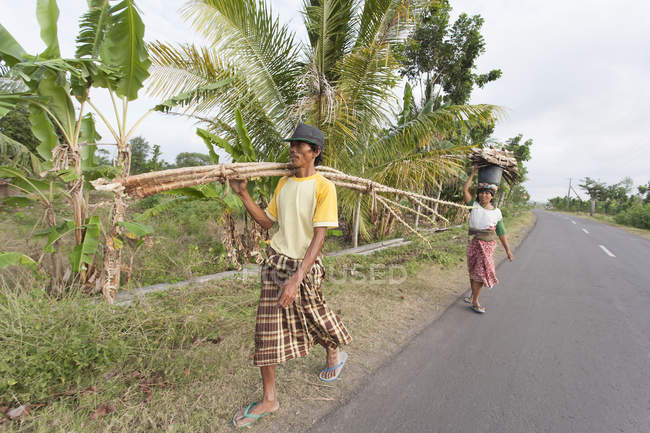 Индонезия, Ломбок, мужчина и женщина, собирающие дрова — стоковое фото