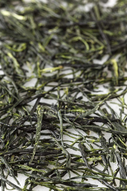 Крупным планом зеленые чайные листья Гёкуро на белой поверхности — стоковое фото