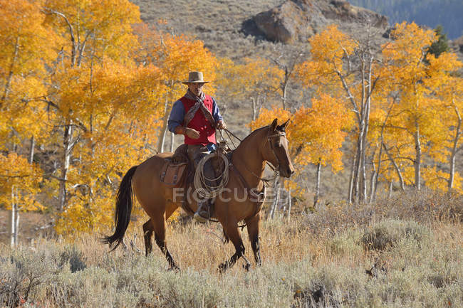 Estados Unidos, Wyoming, Big Horn Mountains, a caballo vaquero en otoño - foto de stock