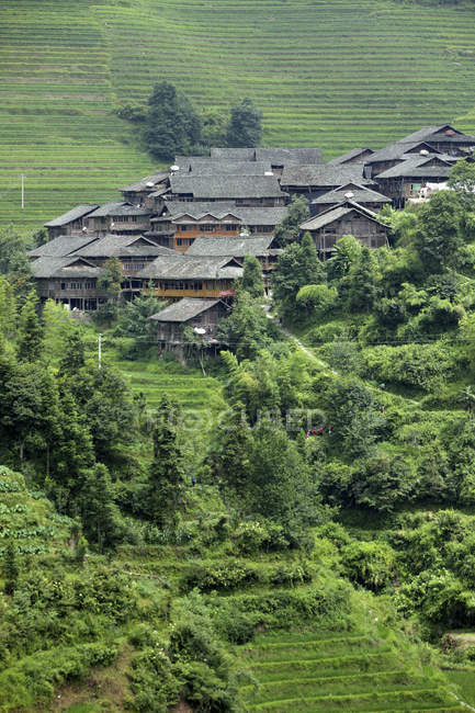 Chine, Zhong-liu, trekking de Ping'an au Guangxi, vie de champ d'herbe geen — Photo de stock