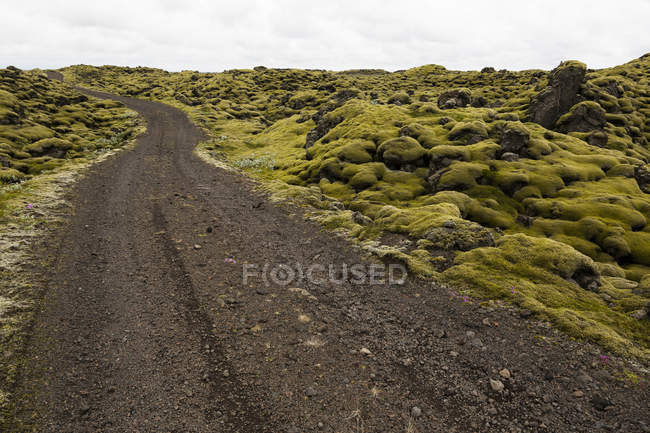 Islande, Skaftareldahraun, Champ de lave, route de gravier pendant la journée — Photo de stock