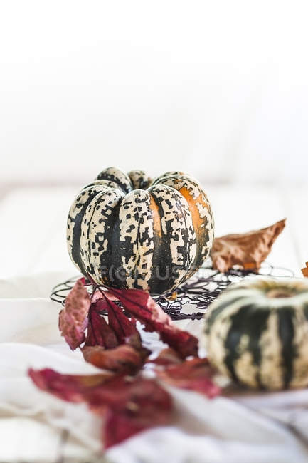 Pumpkins and autumn leaves in front of white background — Stock Photo