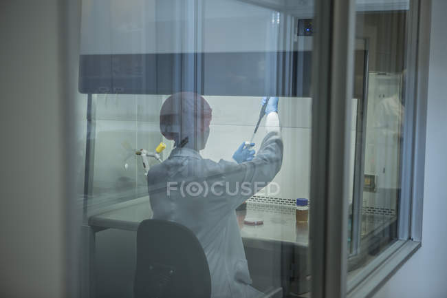 Vue arrière du pipetage femelle scientifique en laboratoire — Photo de stock