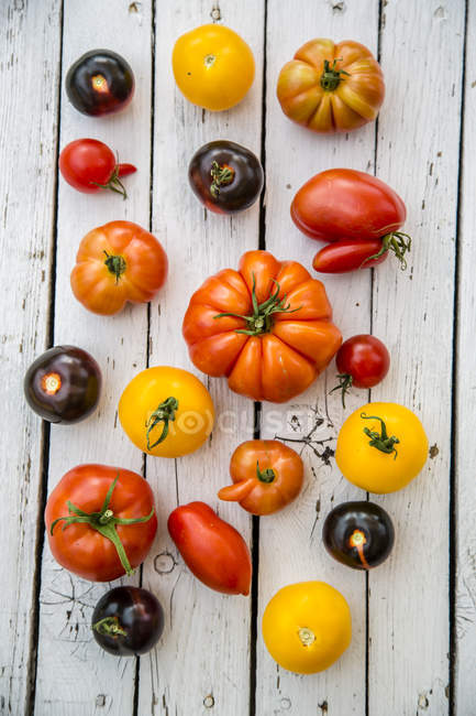 Différentes tomates héritées — Photo de stock
