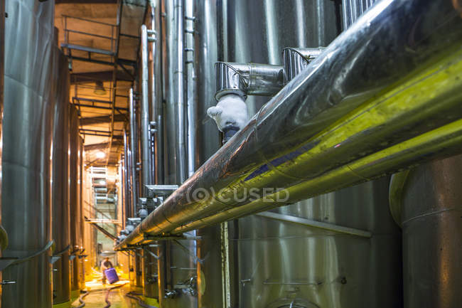 Trabalhador que controla tanques de aço inoxidável para a indústria alimentar — Fotografia de Stock