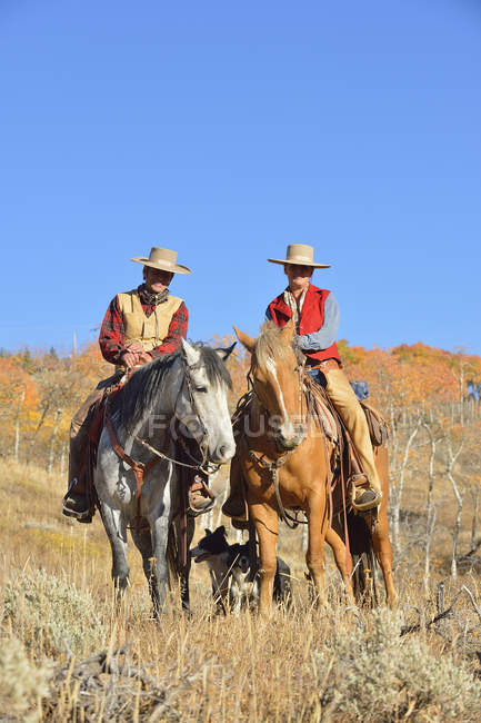 Cowboy e cowgirl sui cavalli — Foto stock